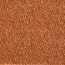 Lacuna Tiger 134034 Upholstered Pelmets